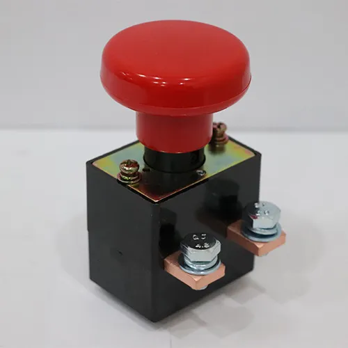 کلید اضطراری(قارچی) یک